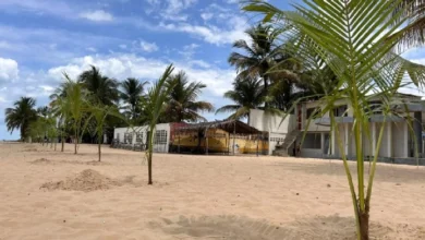 Realizan jornada de limpieza y reforestación en Playa Machurucuto por el Día Mundial de las Playas