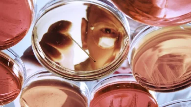 China lanza plan quinquenal para dominar la investigación biomédica