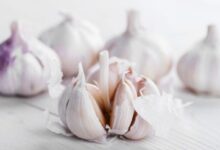 Estudios y expertos destacan los beneficios medicinales y cardioprotectores del ajo en la salud