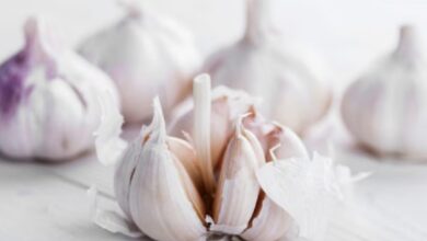 Estudios y expertos destacan los beneficios medicinales y cardioprotectores del ajo en la salud