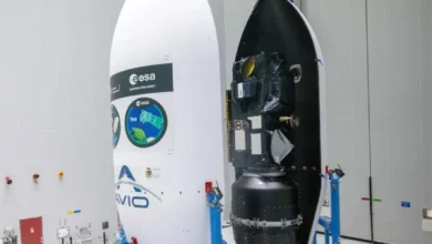 La Agencia Espacial Europea lanzará la misión Flex para monitorear la salud de los cultivos