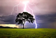 Un ganadero sobrevive al impacto directo de un rayo durante una tormenta en Falcón