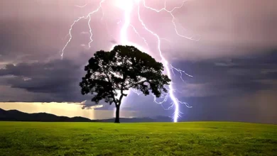 Un ganadero sobrevive al impacto directo de un rayo durante una tormenta en Falcón
