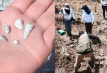 Hallan más de 1.600 dientes de leche en fosas clandestinas de Zacapu, Michoacán