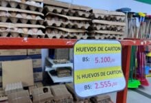 El cartón de huevos supera los 6 dólares en los comercios asiáticos de Maturín