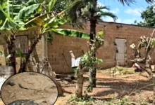 Asesinó y enterró en el patio al hombre que abusó de su hija de 4 años