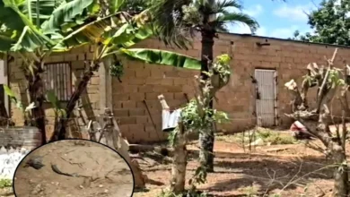 Asesinó y enterró en el patio al hombre que abusó de su hija de 4 años