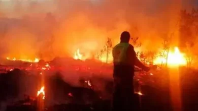 Incendio forestal devora 270 hectáreas en el volcán Imbabura en Ecuador