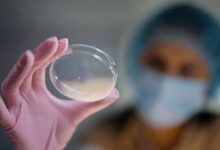 Científicos iraníes desarrollan un hidrogel fotosensible para combatir el cáncer de mama