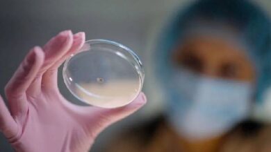 Científicos iraníes desarrollan un hidrogel fotosensible para combatir el cáncer de mama