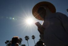 Alemania registra más de 16 mil muertes por olas de calor en el verano de 2026