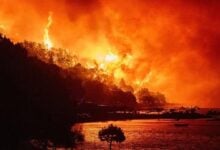 Un feroz incendio en la isla croata de Brač obliga a evacuar por mar a 700 personas