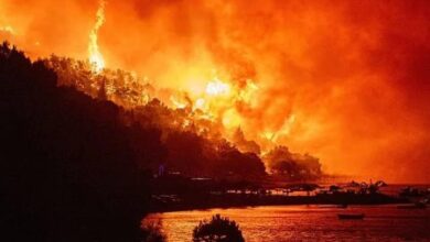 Un feroz incendio en la isla croata de Brač obliga a evacuar por mar a 700 personas