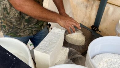 Vendedores del mercado viejo de Maturín reportan alza en el precio del queso por mayor demanda de este lácteo