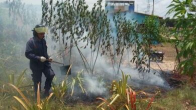 Incendios forestales en Trujillo amenazan viviendas y la red eléctrica