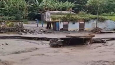 Colapso de puente deja incomunicadas a comunidades agrícolas en Mérida