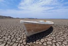 El Niño causará más de 451.000 muertes por calor extremo en nueve meses, según un estudio