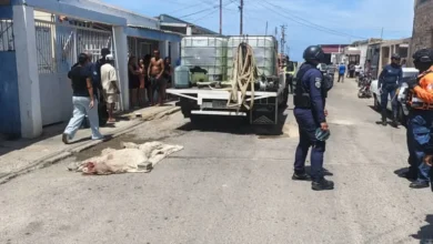 Hombre con discapacidad visual muere arrollado por un camión en Punto Fijo