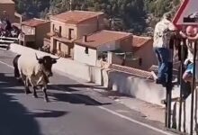 Una mujer de 64 años fallece tras ser embestida por un toro en España