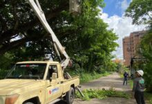 Conozca los sectores de Maturín, Bolívar y Zamora que estarán sin electricidad durante cuatro horas este jueves