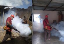 Realizan jornadas de fumigación y abatización en cinco sectores de Maturín
