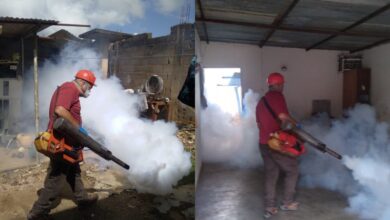 Realizan jornadas de fumigación y abatización en cinco sectores de Maturín