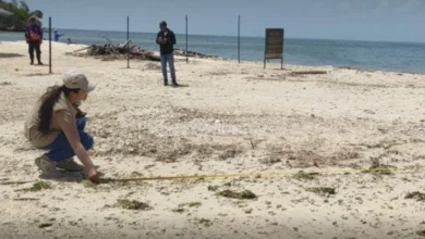 Funvisis rastrea las huellas del sismo del 24 de junio para entender el futuro sísmico del país
