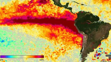 El Niño llega a categoría "muy fuerte": Venezuela tendrá más calor y menos lluvias
