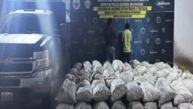 PNB incauta 150 sacos de carbón vegetal en Falcón y detiene a dos hombres por contrabando
