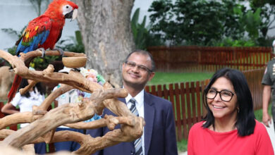 Gobierno nacional firma alianza con la India para construir un acuario y un hospital de fauna en La Guaira