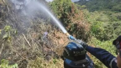 Bomberos de Caracas sofocan incendio forestal en la carretera vieja Petare-Guarenas