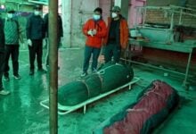 Avalancha en Nepal deja cuatro muertos y 12 desaparecidos