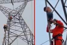 Un niño de 5 años escala una torre eléctrica y logra ser rescatado