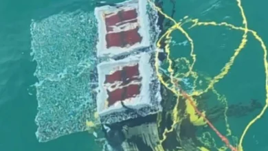 Científicos chinos desarrollan la primera planta solar submarina del mundo