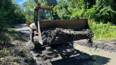 Plan Venezuela Renace logra 50 % de avance vial en Caruao, La Guaira