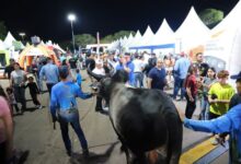 Monagas celebrará la III Expo Agroindustrial 2026 en El Guacharín