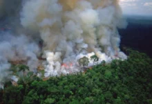La sequía de El Niño dispara los incendios en la Amazonía brasileña