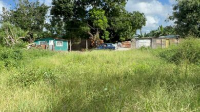 Vecinos de Las Brisas del Aeropuerto denuncian abandono del Parque El Este e inseguridad por falta de alumbrado