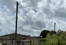 Visitantes y residentes cercanos al Cementerio Viejo denuncian abandono y la falta de seguridad