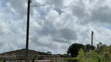 Visitantes y residentes cercanos al Cementerio Viejo denuncian abandono y la falta de seguridad