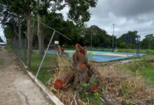 Usuarios denuncian que transportistas de Maturín ignoran los canales de servicio