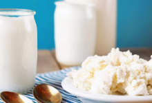 Estudio analiza si los alimentos fermentados benefician al intestino y a los músculos