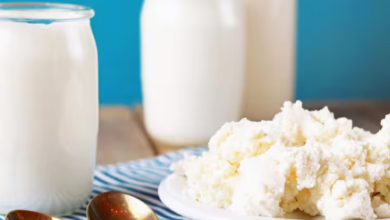 Estudio analiza si los alimentos fermentados benefician al intestino y a los músculos