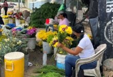 Floristas prevén repunte en sus ventas ante la cercanía del Día de los Difuntos