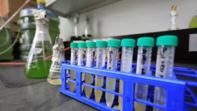 Desarrollan en Venezuela un sistema biológico contra la contaminación petrolera