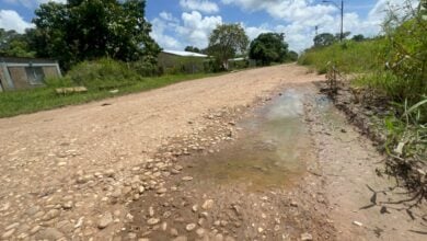 Habitantes del Rincón de Monagas solicitan asfaltado y aumento de unidades de transporte público