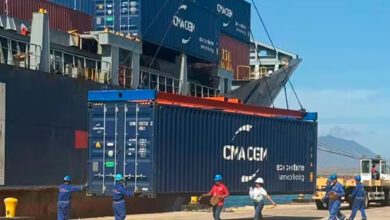 Nueva Esparta: Despachan 380 toneladas de algas marinas a Asia, Europa y América