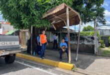 Usuarios de la Av. El Ejército piden sustitución de parada deteriorada por un punto de transporte inteligente