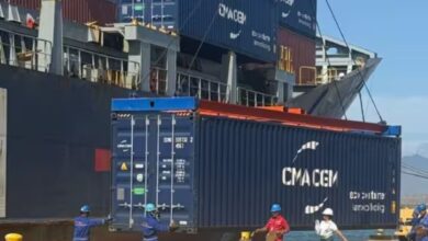 Nueva Esparta exporta 380 toneladas de productos marinos
