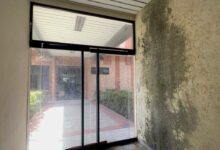 Ubevistas solicitan mejoras para la infraestructura de su casa de estudios